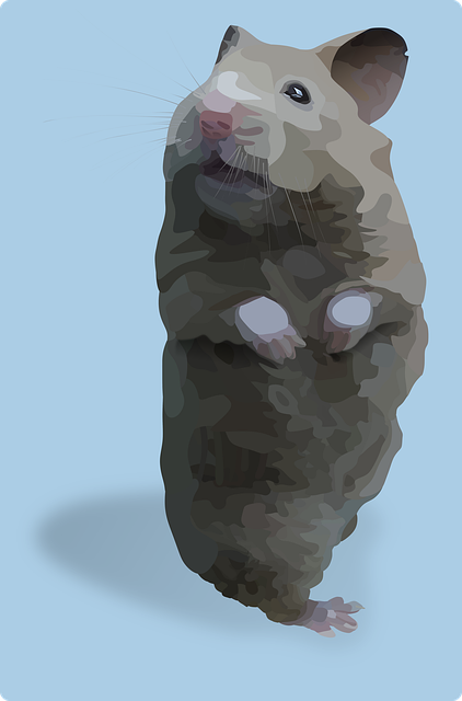 Free hamster standing hamster hamster on hind legs illustration