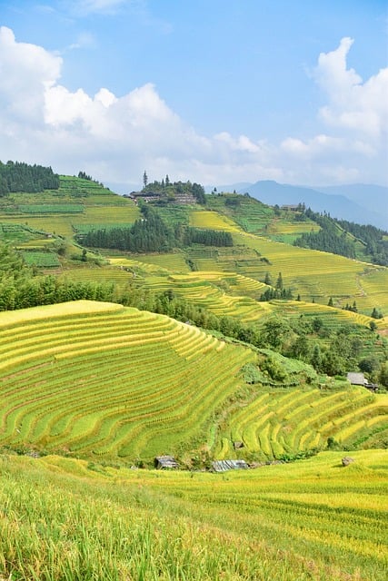 Free Guangxi Guilin photo and picture