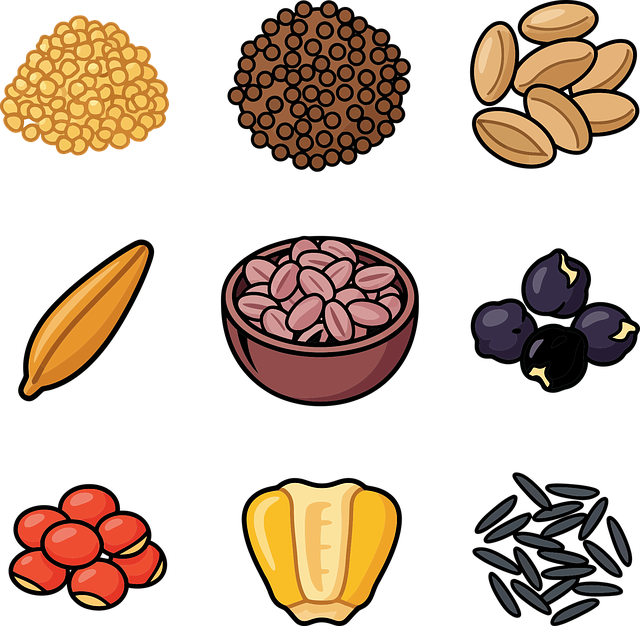 Free beans lentils seeds illustration