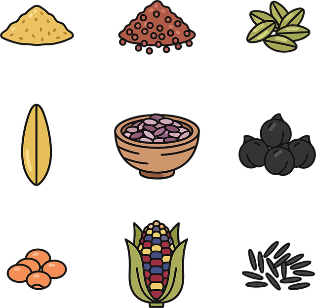 Free seeds grains legumes illustration