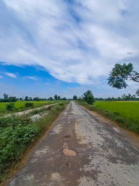 Free Landscape Field photo and picture