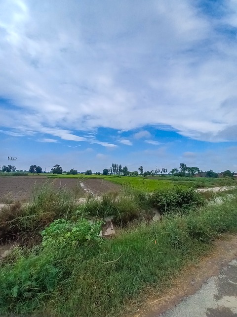 Free Landscape Field photo and picture