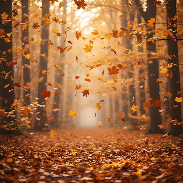 Free autumn forest fall illustration