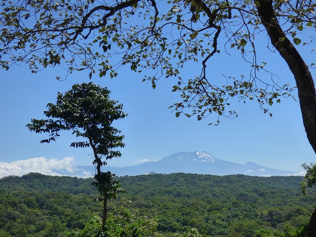Free Tanzania Africa photo and picture