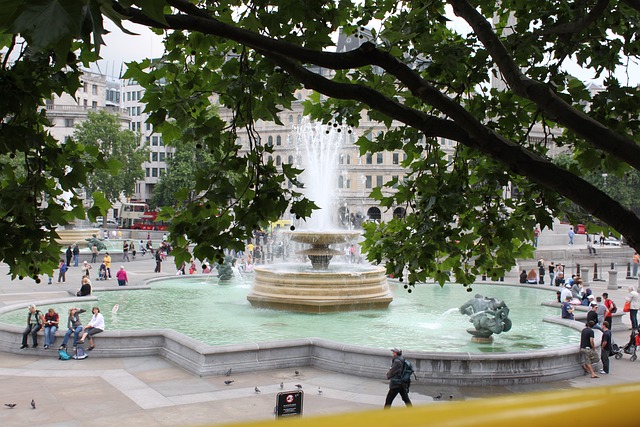 Free Park Tree photo and picture