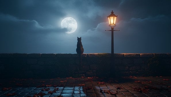 Free Night Moon illustration and picture