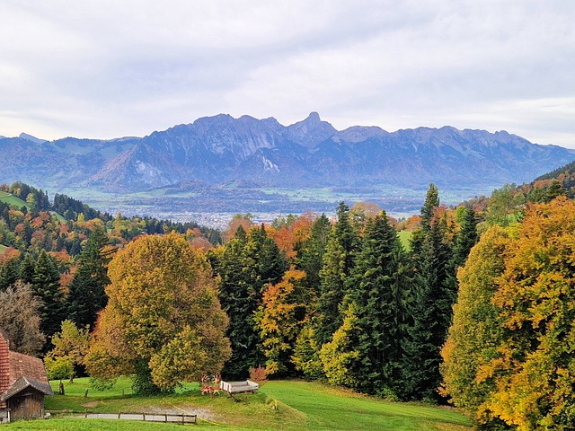 Free Fall Alps photo and picture