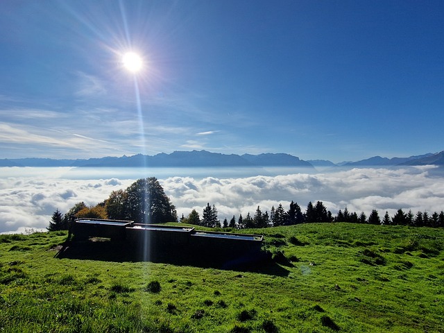 Free Alps Sea Of Fog photo and picture