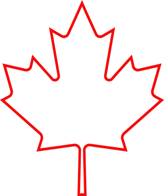 Free maple leaf red outline minimalist illustration