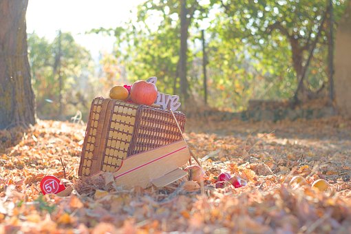 Otoño, Nature, Naturaleza, Hojas