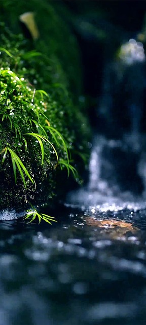 Free 风景 自然 photo and picture