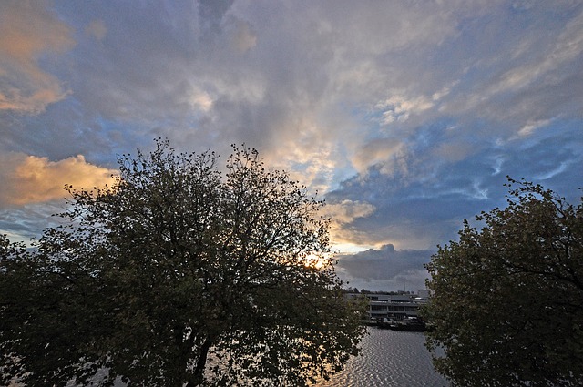 Free Autumn Air photo and picture