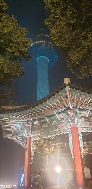 Free Seoul Korea photo and picture