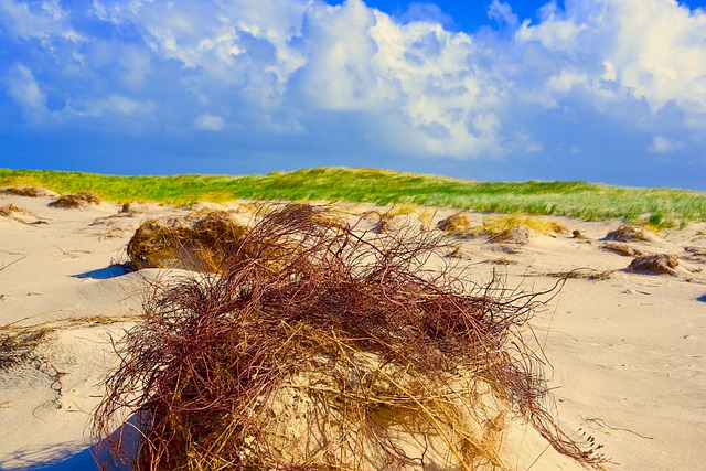 Strand, Sand, Gras, Himmel, Blau, Wolken