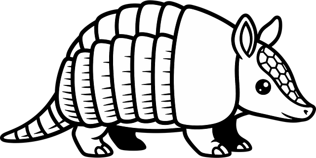 Free armadillo cartoon outline vector