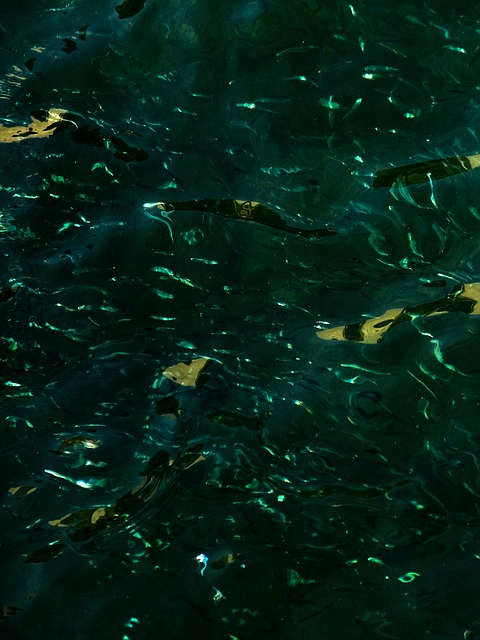 Agua, Oceano, Mar, Naturaleza, Reflexión