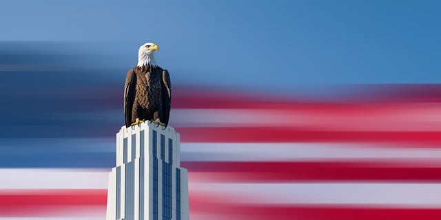 Free bald eagle skyscraper finance illustration