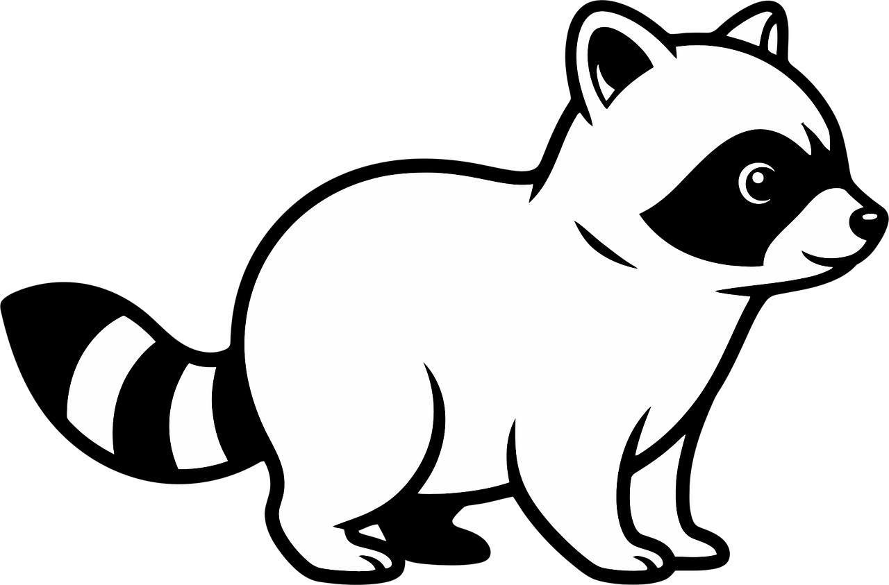 Little Racoon Outline Simple Raccoon Outline Png