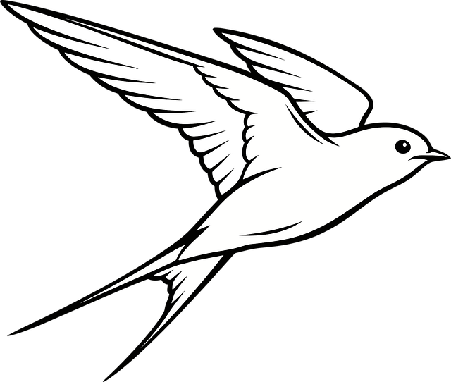 Free swallow bird flying vector