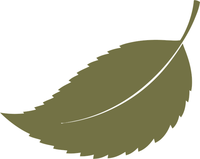 Free autumn leaf silhouette vector