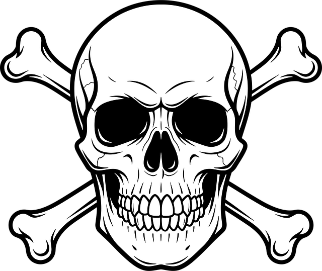 Free skull crossbones outline vector