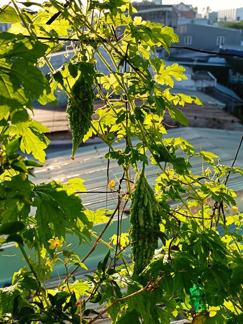 Free Garden Nature ai generated image and illustration