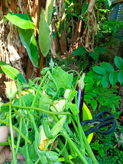 Free Garden Nature ai generated image and illustration