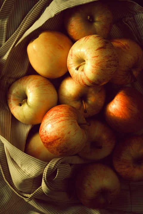 Green is the New Black: The Rise of Plant-Based Eating Trends