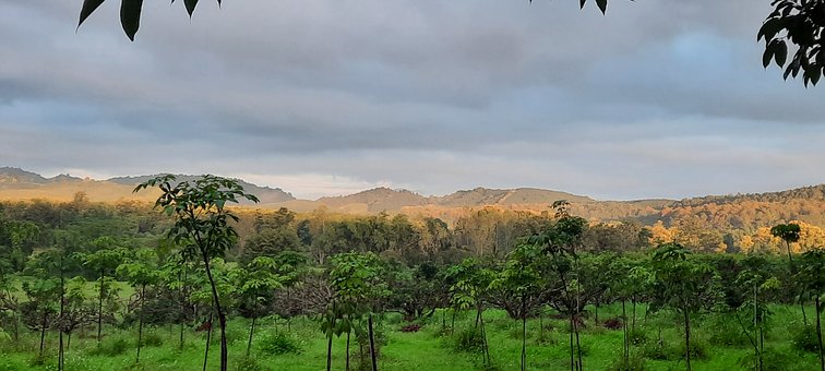 Natura, Moutains, Peisaj, Toamnă, Pădure