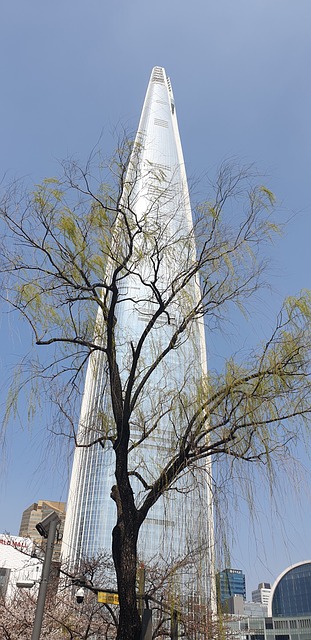 Free Seoul Lotte World photo and picture