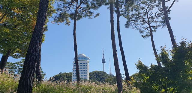 Free Seoul Korea photo and picture
