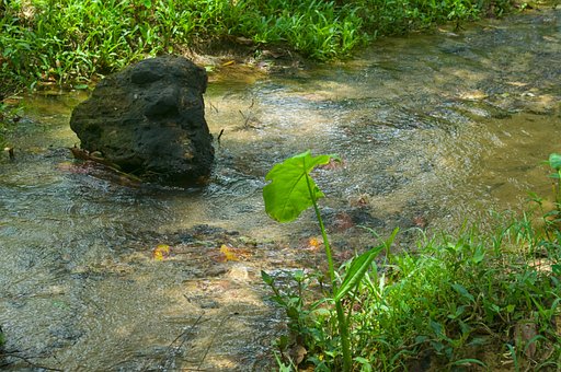Bachlauf, Wasser, Fluss, Natur