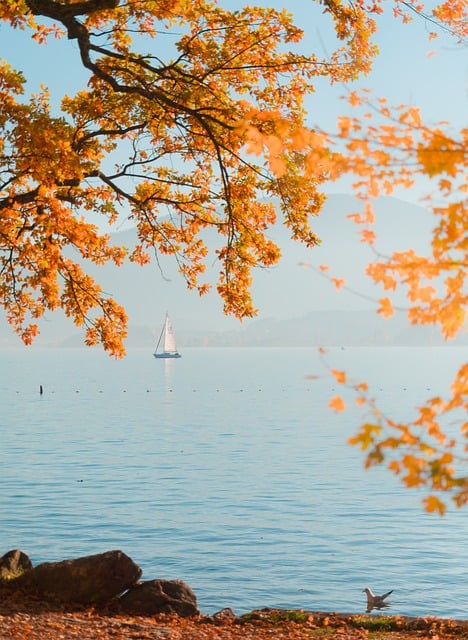 Free Autumn Fall photo and picture