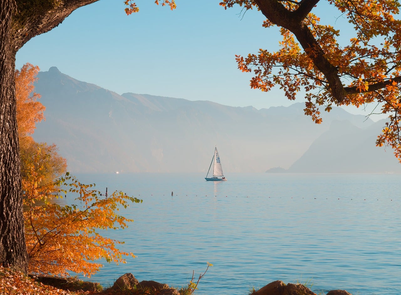 Nature - free online jigsaw puzzle photo