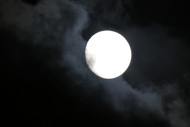 Free Moon Moonlight photo and picture