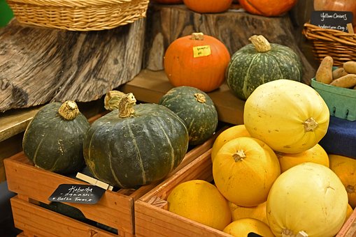 Dýně, Zelená, Squash, Žlutá, Oranžový