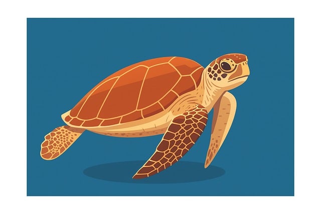 Free sea turtle ocean marine life vector