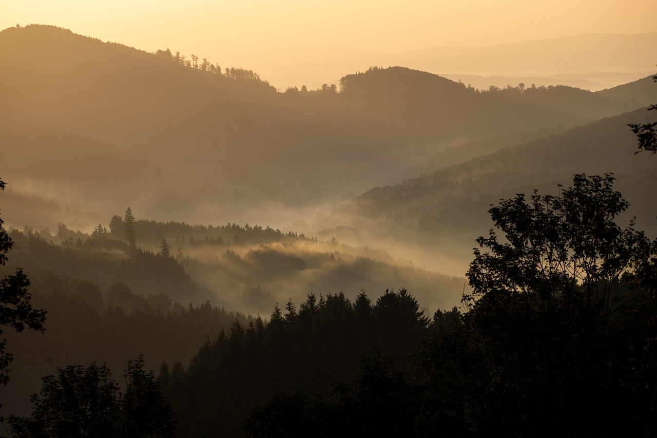 Fog - free online jigsaw puzzle photo