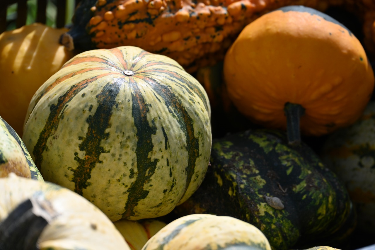 Pumpkin - free online jigsaw puzzle photo