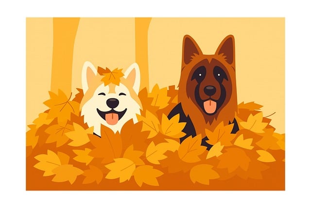 Hunde, Efterår, Blade, Skov, Dyr
