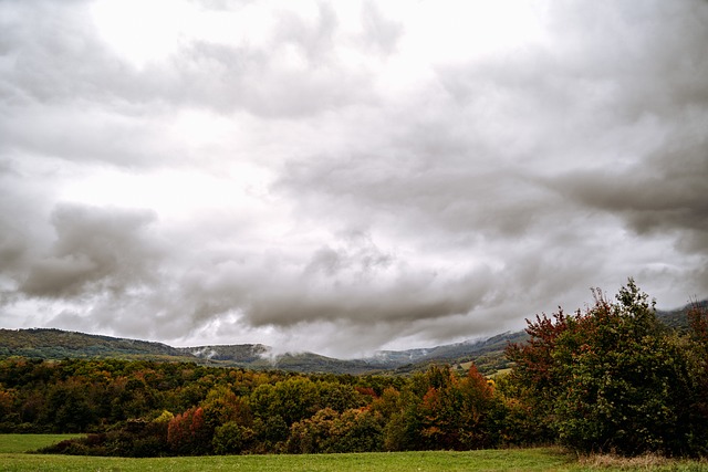 Free Nature Landscape photo and picture