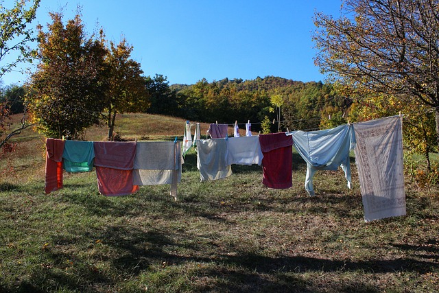 Free Clothes Hanging Washing photo and picture