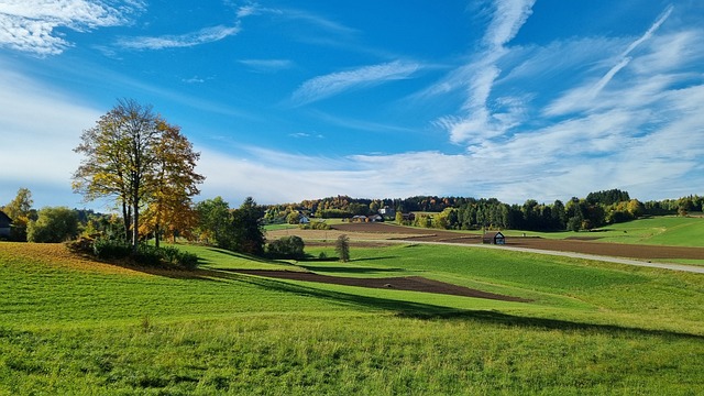 Herbst, Landschaft, Baum, Blauer Himmel