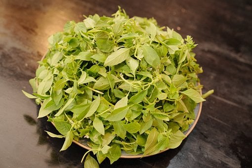 Free Food Basil photo and picture