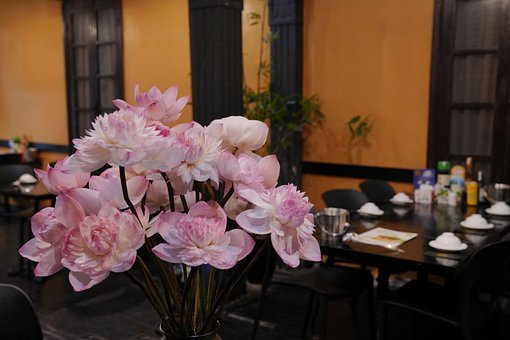 Free Hoa Sen Hoa photo and picture