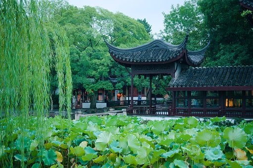 Suzhou, Gardens, Garten, Natur