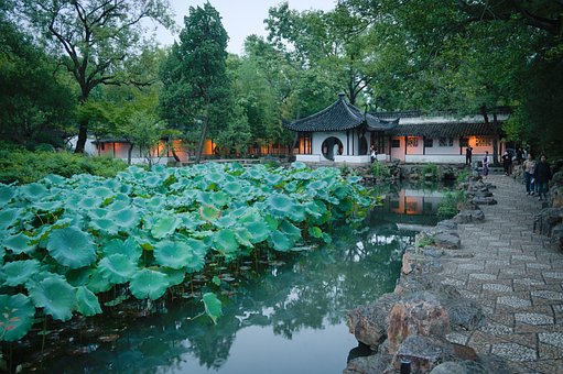 Suzhou, Gardens, Garten, Natur