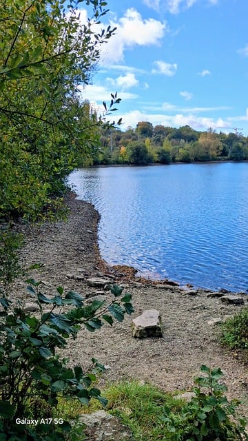 Free Lac Nature photo and picture