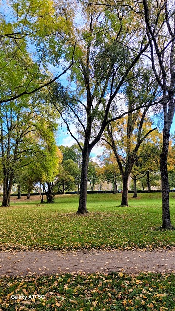 Free Parc Nature photo and picture