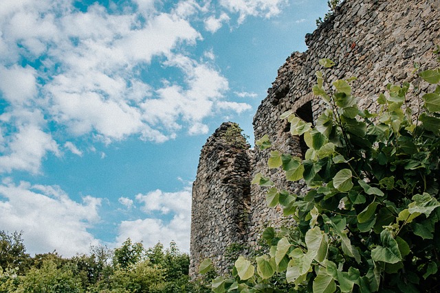 Steen, Architectuur, Rustiek, Kasteel